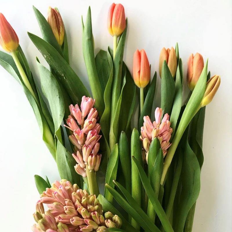 Flowers-and-Fancies-2