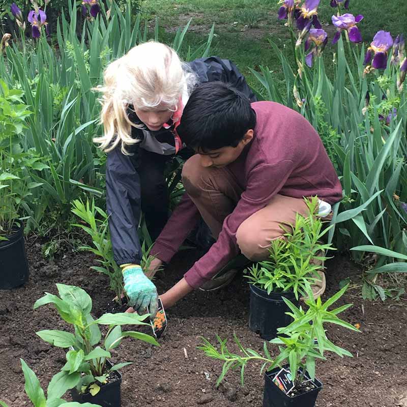 UMEMasterGardeners-2