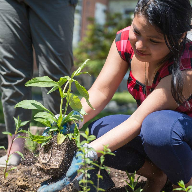 bay-friendly-gardening