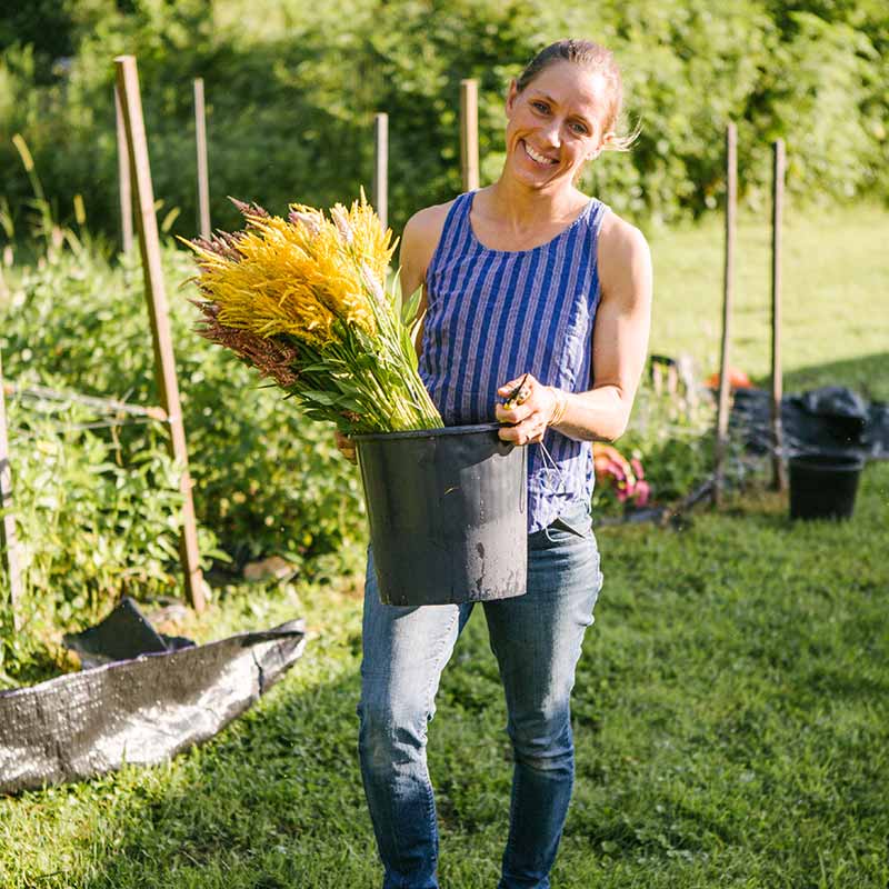 how-to-grow