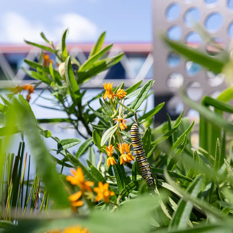 mvp-fm26-fri-national-aquarium